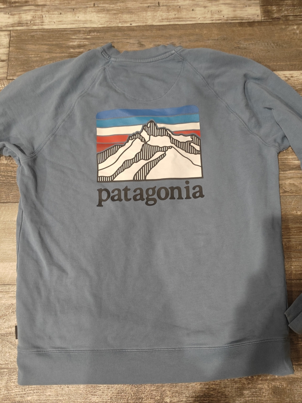 Patagonia Light Blue Crewneck Sweatshirt with Mountain Graphic